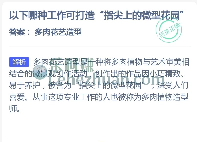 哪种工作可打造指尖上的微型花园?