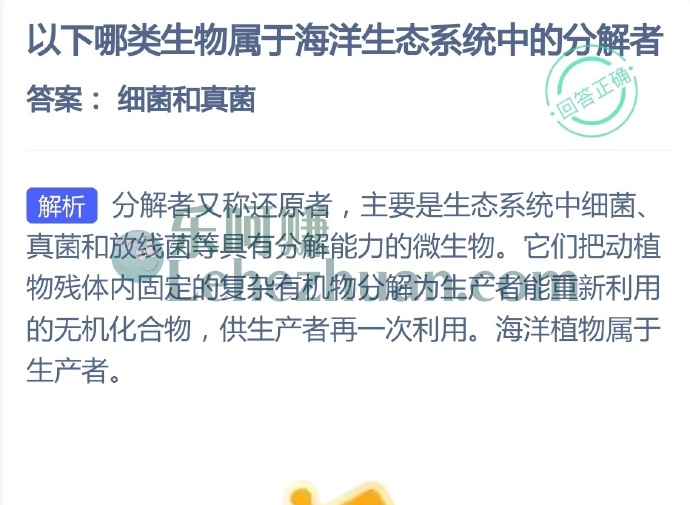 哪类生物属于海洋生态系统中的分解者?