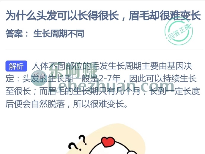 为什么头发可以长得很长，眉毛却很难变长？