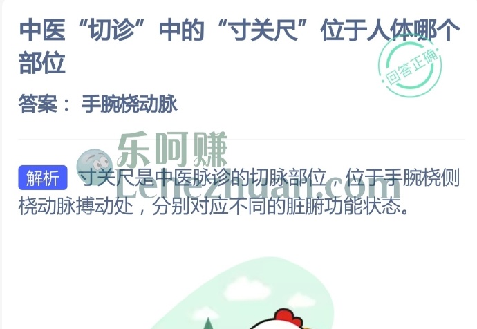 中医切诊中的寸关尺位于人体哪个部位?