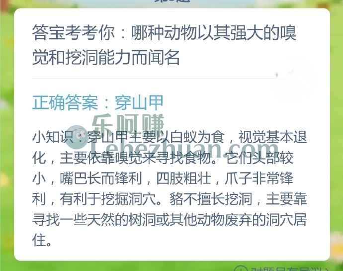 哪种动物以其强大的嗅觉和挖洞能力而闻名？