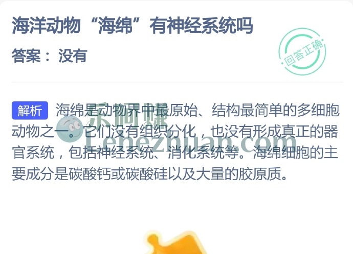 海洋动物海绵有神经系统吗？