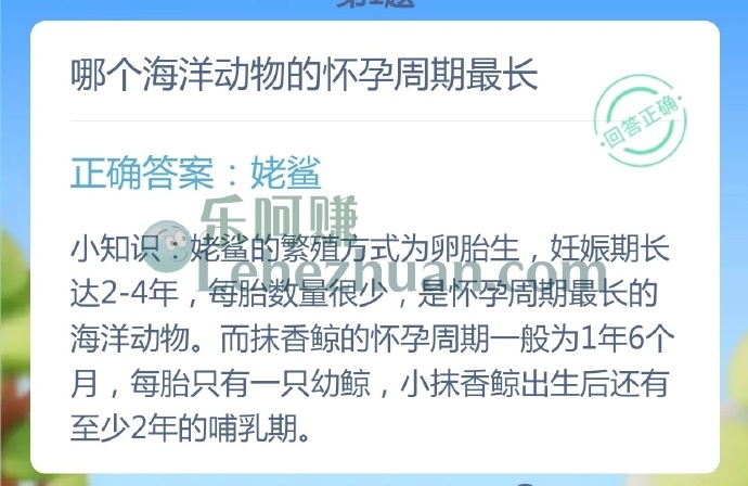 哪个海洋动物的怀孕周期最长？