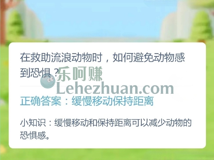 在救助流浪动物时，如何避免动物感到恐惧？