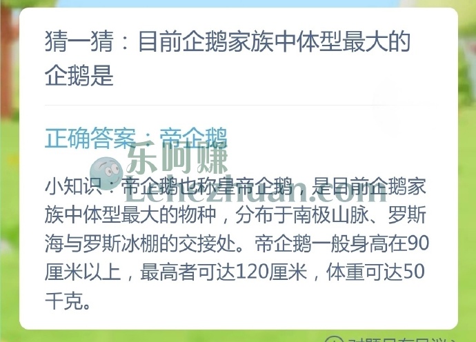 目前企鹅家族中体型最大的企鹅是?