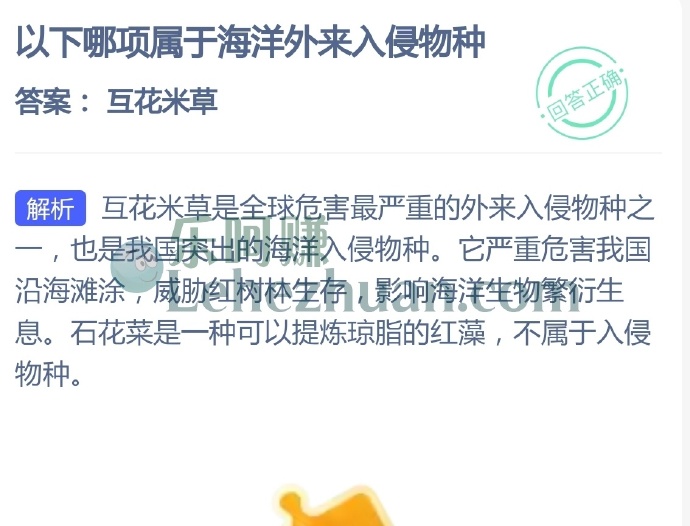 哪项属于海洋外来入侵物种?