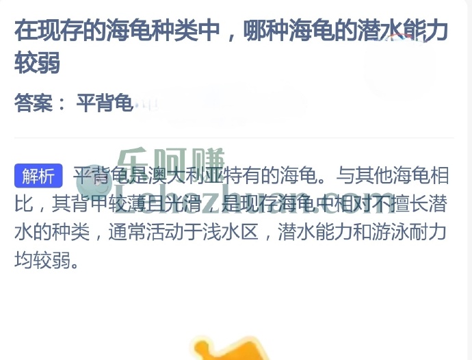 在现存的海龟种类中,哪种海龟的潜水能力较弱?