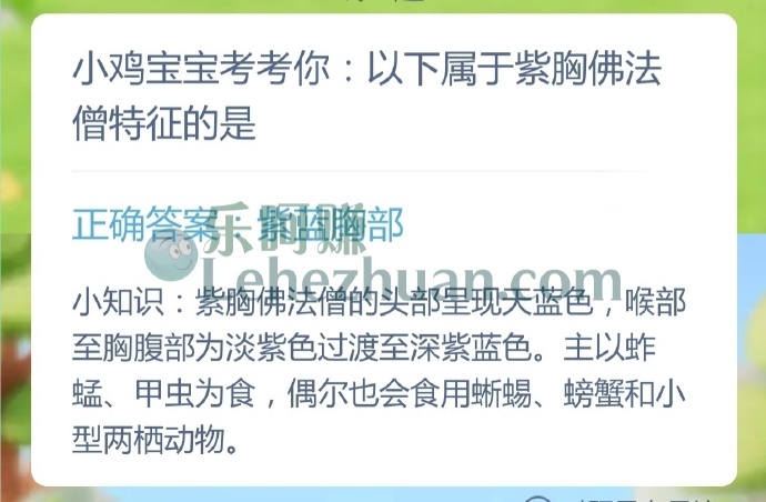 属于紫胸佛法僧特征的是?