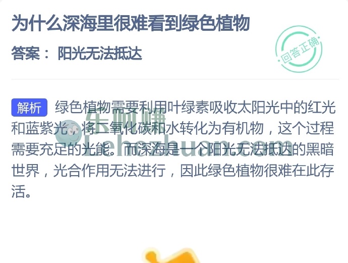 为什么深海里很难看到绿色植物?