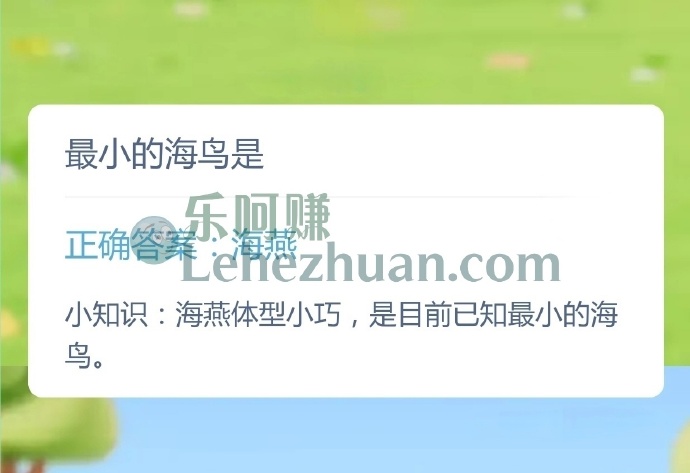 最小的海鸟是？