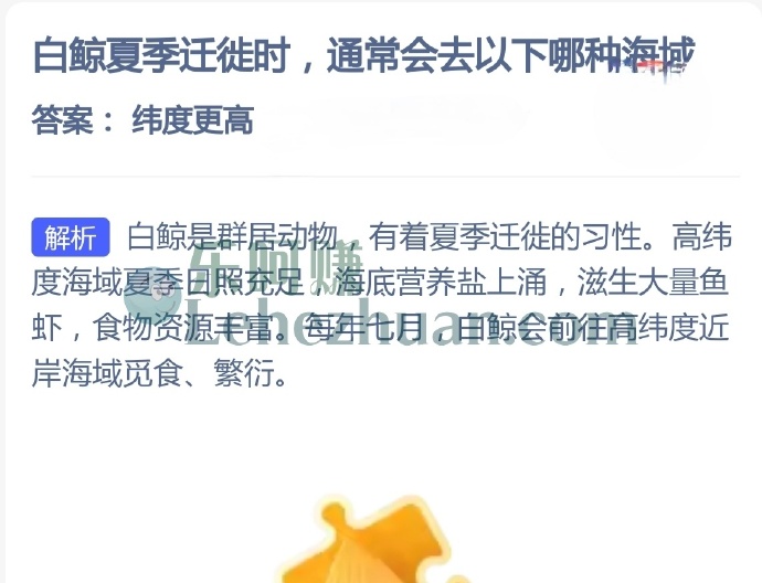 白鲸夏季迁徙时，通常会去以下哪种海域？