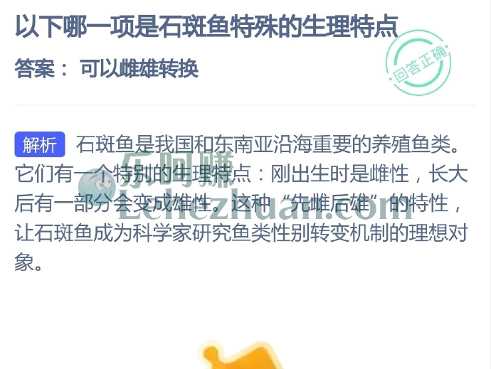 哪一项是石斑鱼特殊的生理特点?