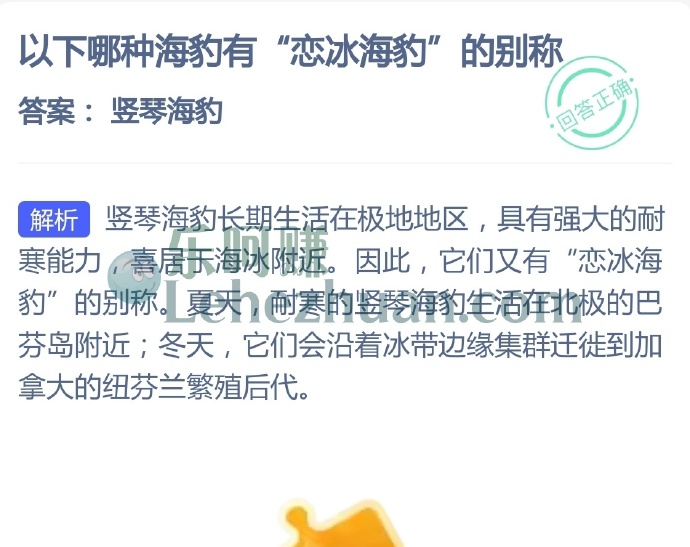 哪种海豹有恋冰海豹的别称?