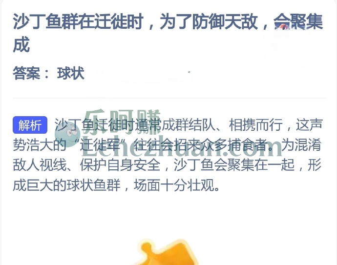 沙丁鱼群在迁徙时，为了防御天敌，会聚集成？