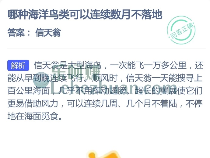 哪种海洋鸟类可以连续数月不落地？