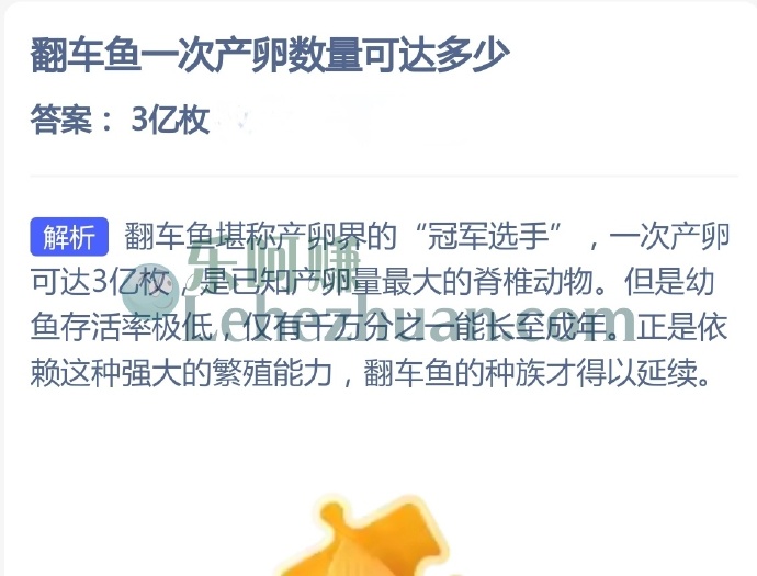翻车鱼一次产卵数量可达多少?
