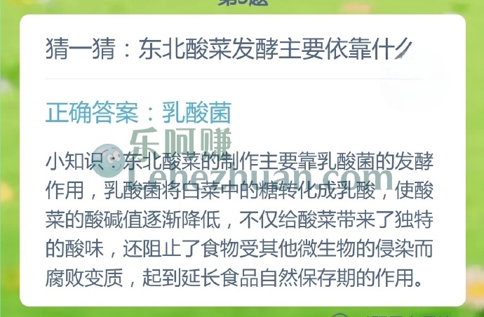 东北酸菜发酵主要依靠什么？