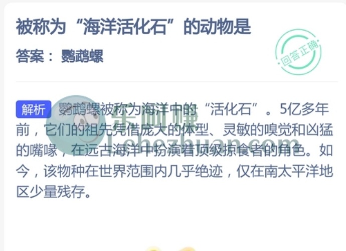 被称为海洋活化石的动物是?