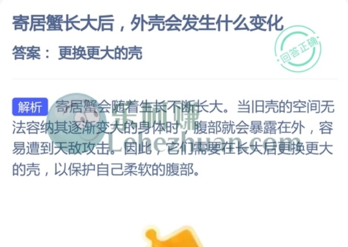 寄居蟹长大后,外壳会发生什么变化?
