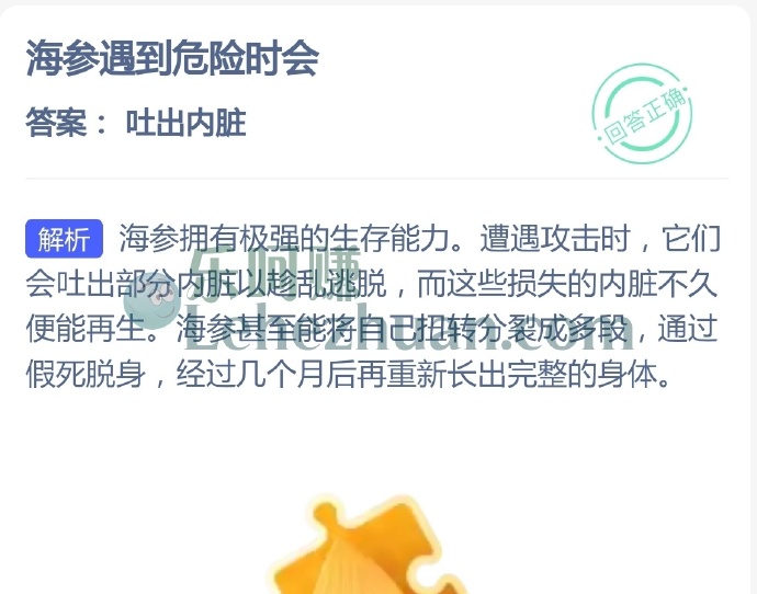 海参遇到危险时会?