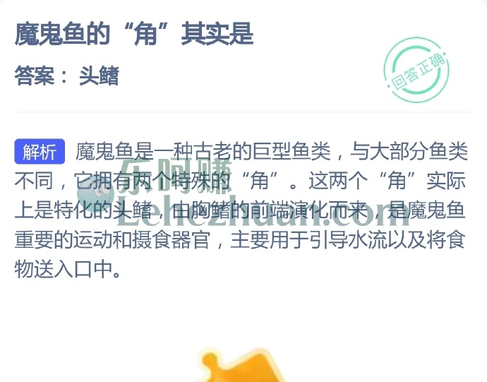 魔鬼鱼的角其实是?