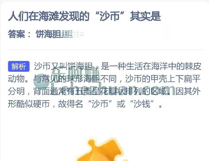 人们在海滩发现的沙币其实是?