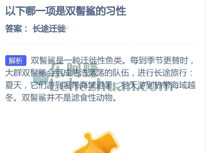 以下哪一项是双髻鲨的习性?