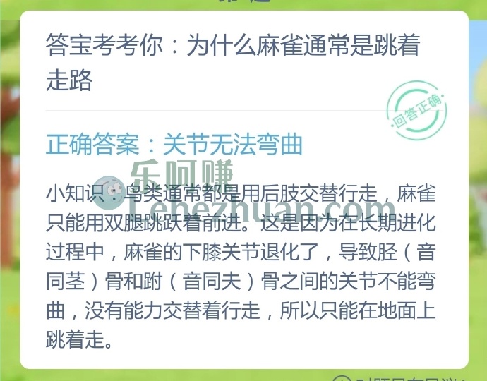 为什么麻雀通常是跳着走路?