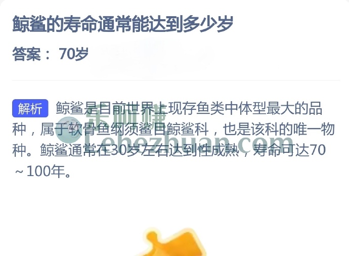 鲸鲨的寿命通常能达到多少岁?