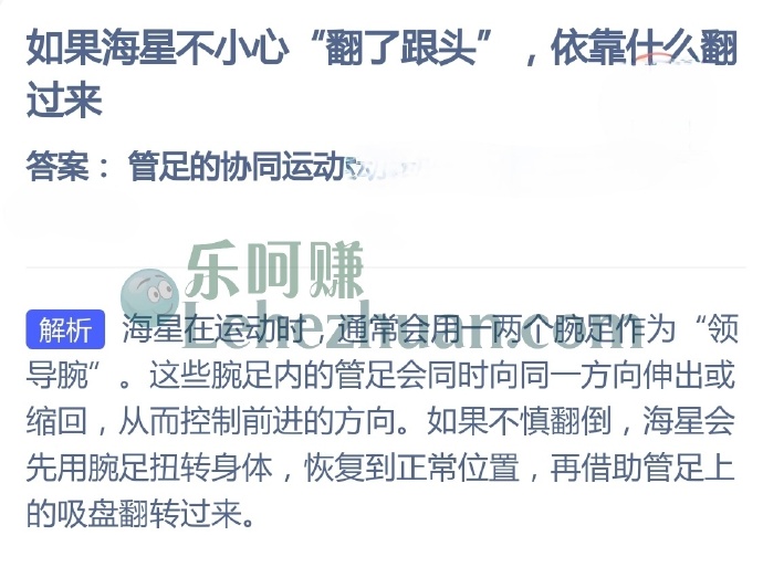 如果海星不小心翻了跟头,依靠什么翻过来?