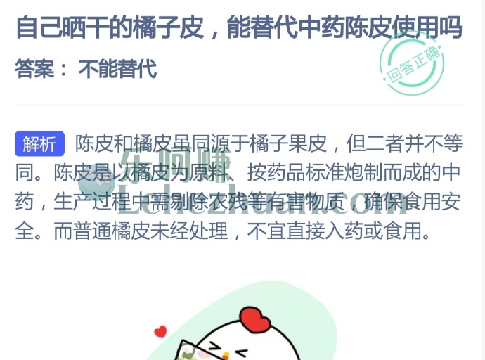 自己晒干的橘子皮能替代中药陈皮使用吗?