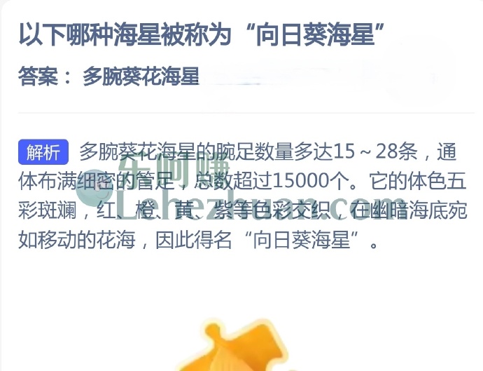 哪种海星被称为向日葵海星？