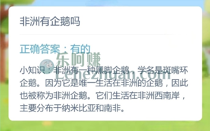 非洲有企鹅吗?