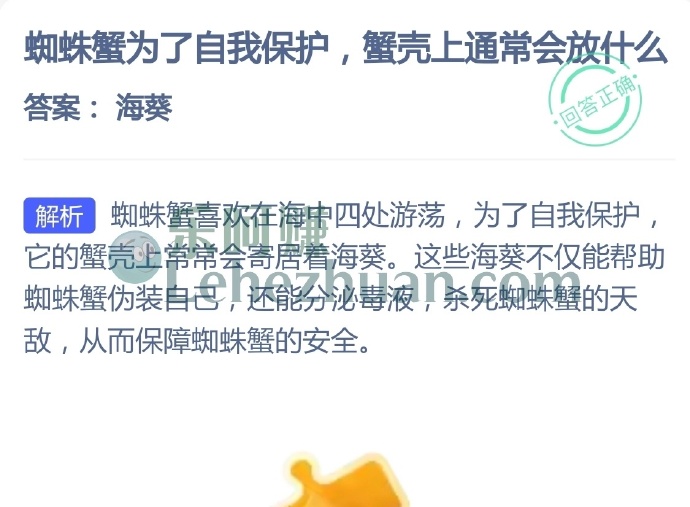 蜘蛛蟹为了自我保护,蟹壳上通常会放什么?
