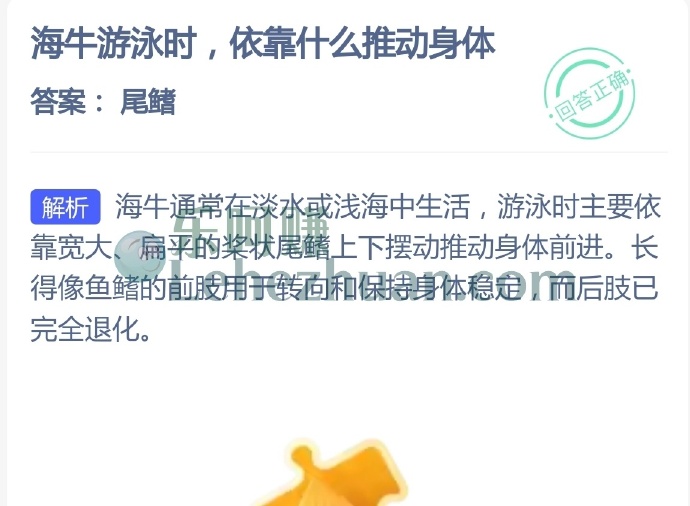 海牛游泳时,依靠什么推动身体?