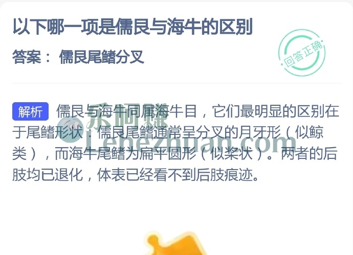 儒艮与海牛的主要区别是？