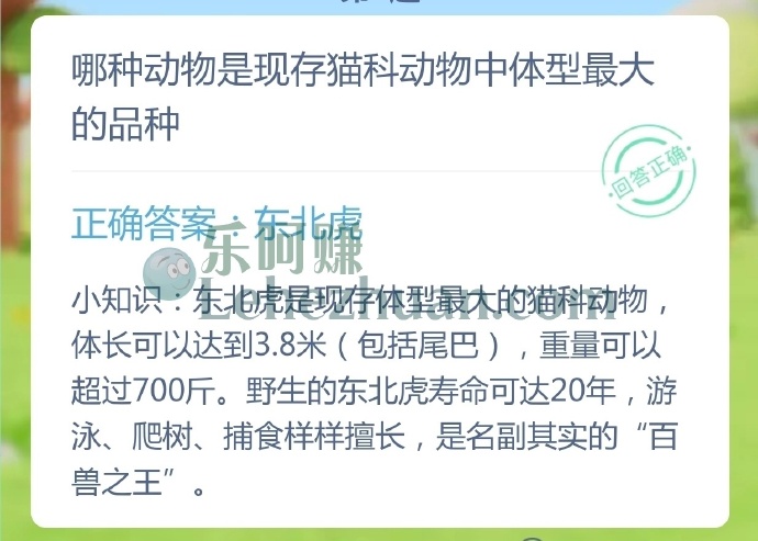 哪种动物是现存猫科动物中体型最大的品种?