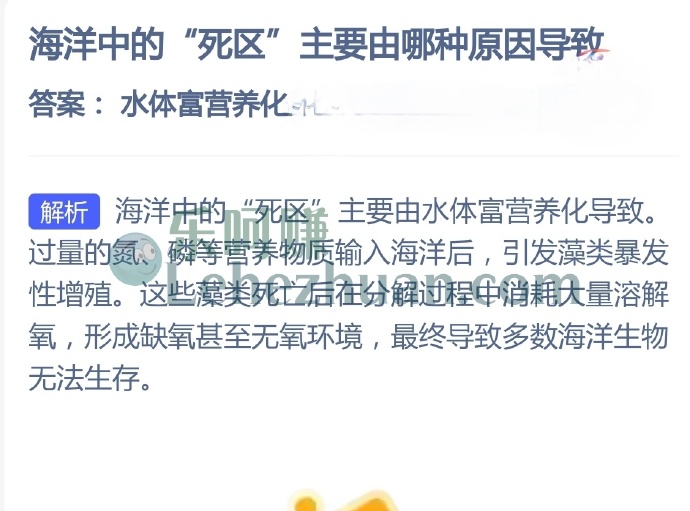 海洋中的死区主要由哪种原因导致？