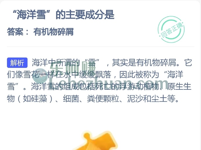 海洋雪的主要成分是?