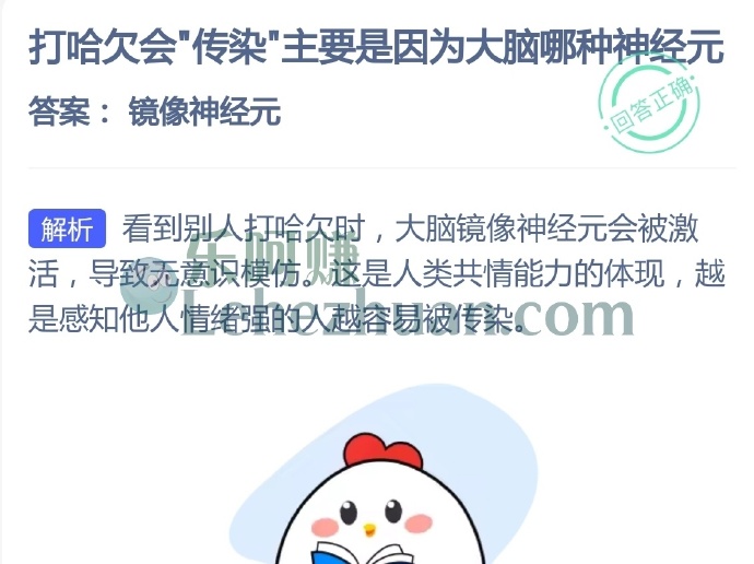 打哈欠会传染主要是因为大脑哪种神经元？