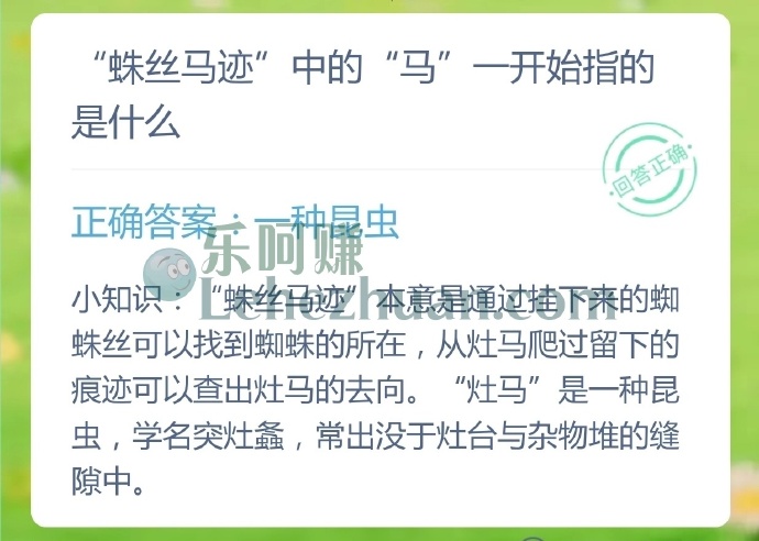 蛛丝马迹中的马一开始指的是什么?