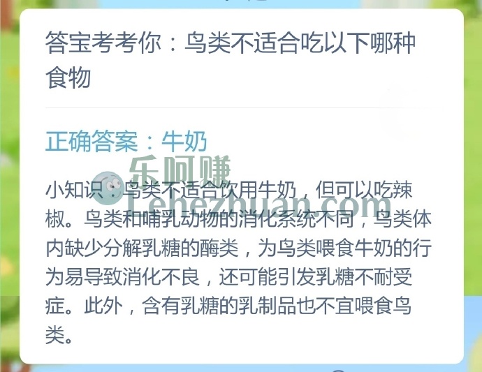 鸟类不适合吃以下哪种食物？