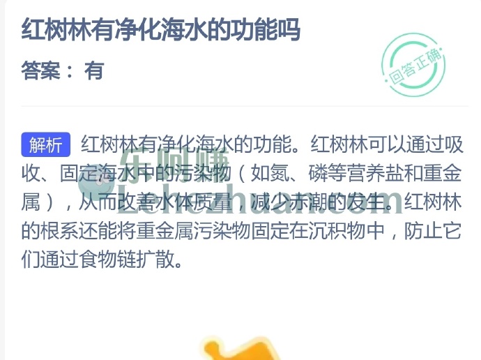 红树林有净化海水的功能吗?