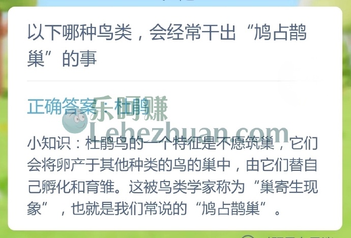 哪种鸟类会经常干出鸠占鹊巢的事?